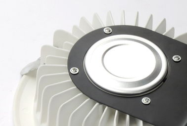 20 Watt Komersial LED Downlight tersembunyi IP20 AC 100V - 240V Untuk Toko Lampu
