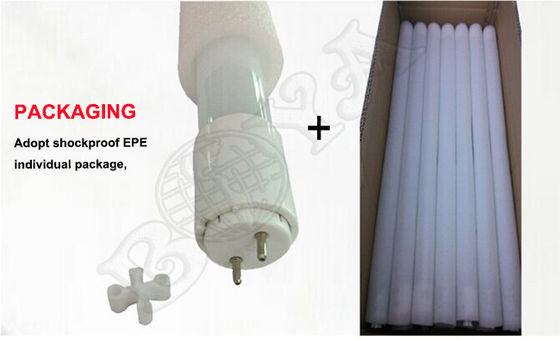 Efisiensi tinggi 18W G13 LED Glass Tube 4 Foot T8 LED Light Tube Dengan 300 View Angle