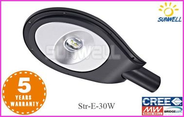 12 V / 24V Taman terbuka Led Jalan Lampu waterproof 30w 2800lm